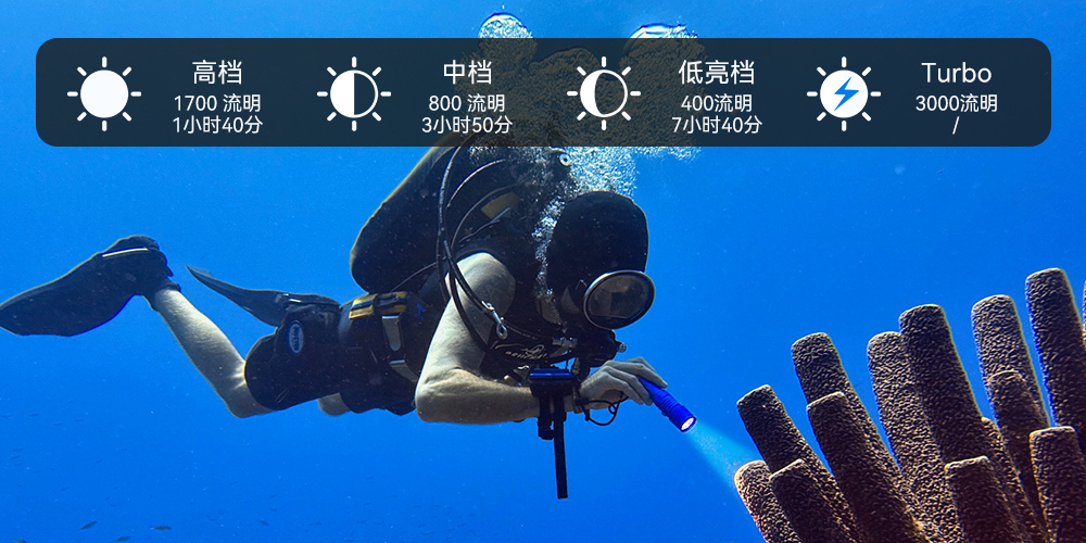 D710潛水(shuǐ)手電筒,D710休閑(xián)潛水手電筒(tǒng),D710潛水燈,D710水肺潛水,D710潛水手電(diàn),草莓视频官网OrcaTorch